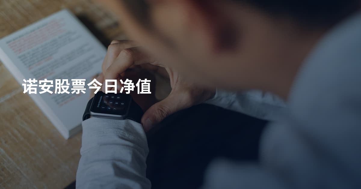 诺安股票今日净值