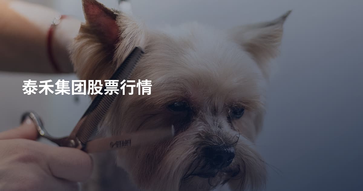 泰禾集团股票行情