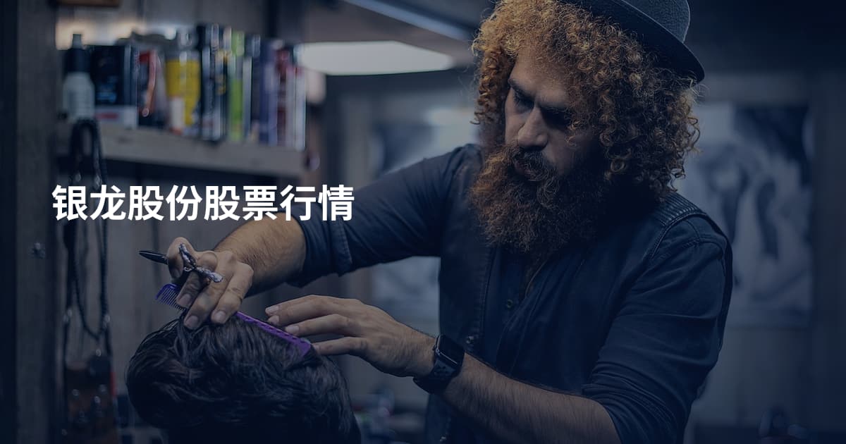 银龙股份股票行情