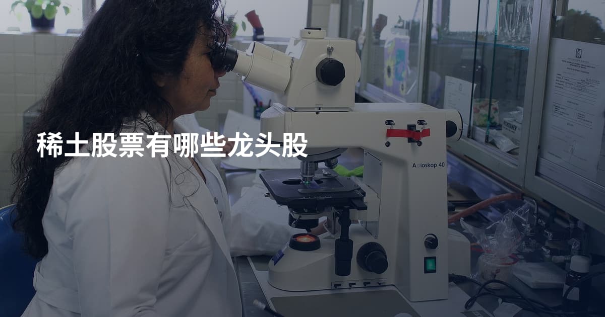 稀土股票有哪些龙头股