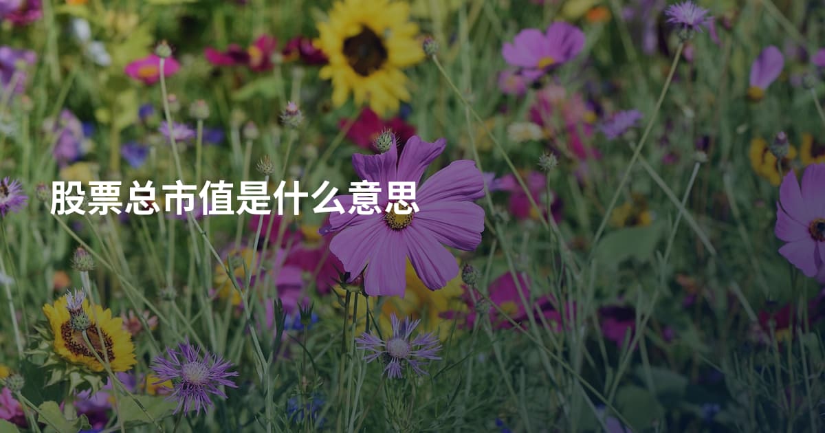 股票总市值是什么意思