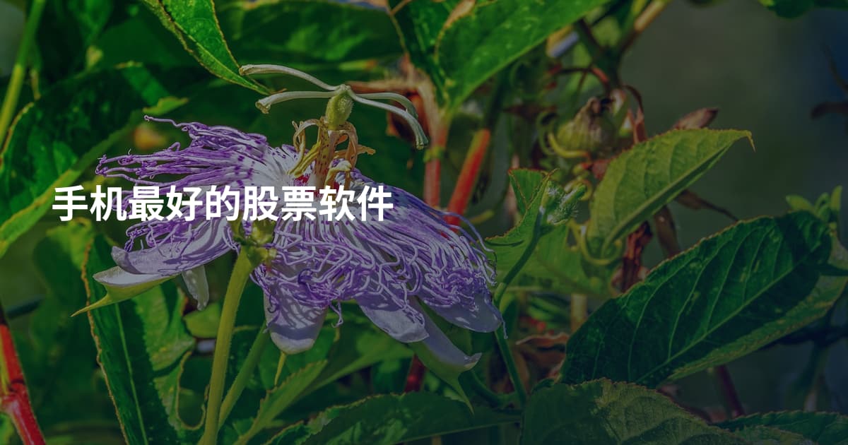 手机最好的股票软件