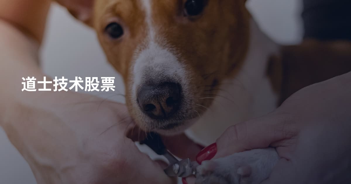道士技术股票