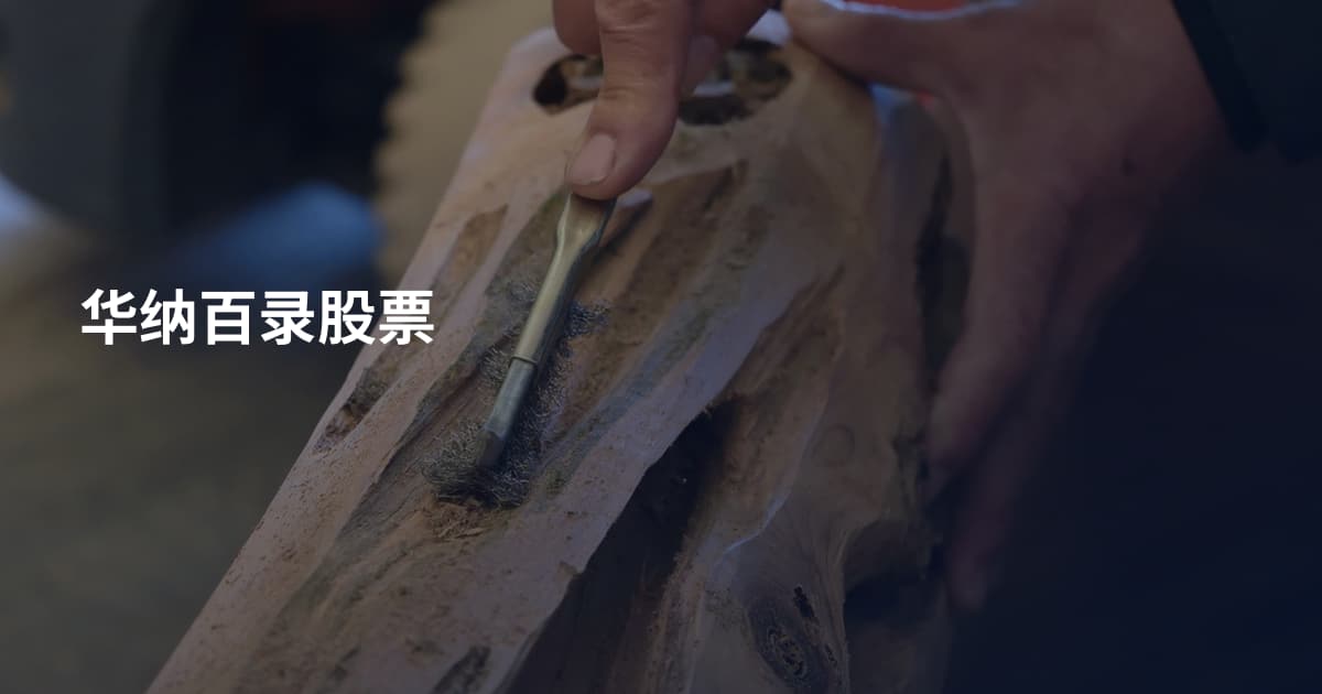 华纳百录股票