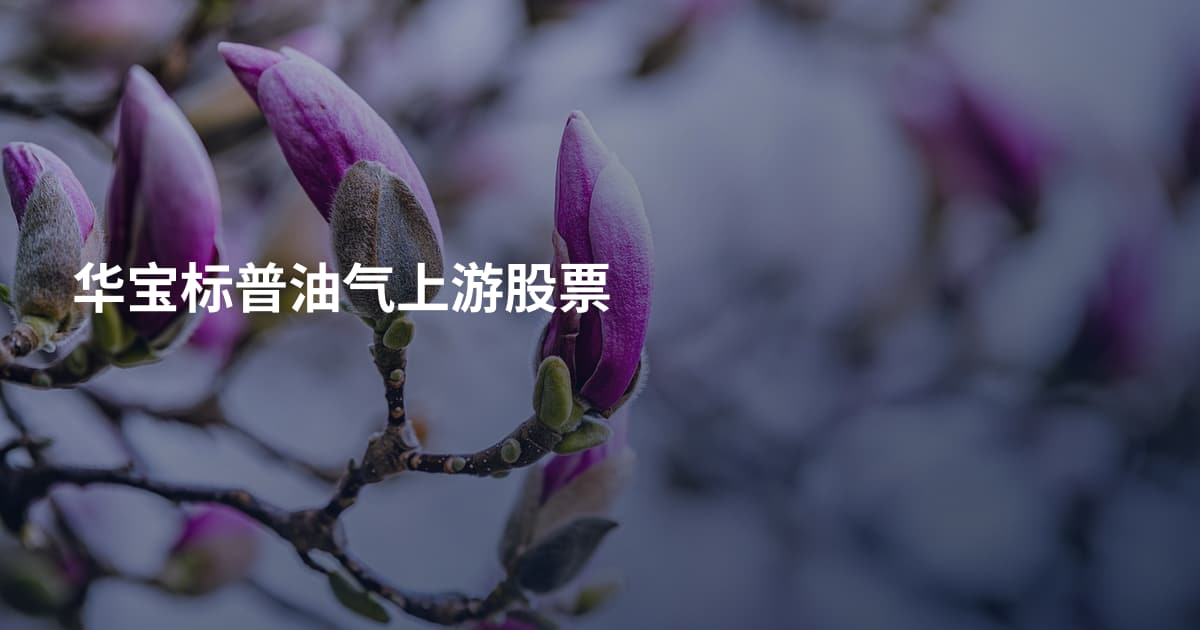 华宝标普油气上游股票