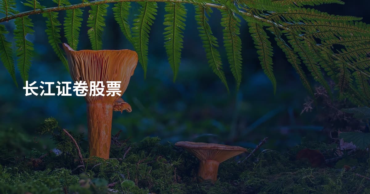 长江证卷股票