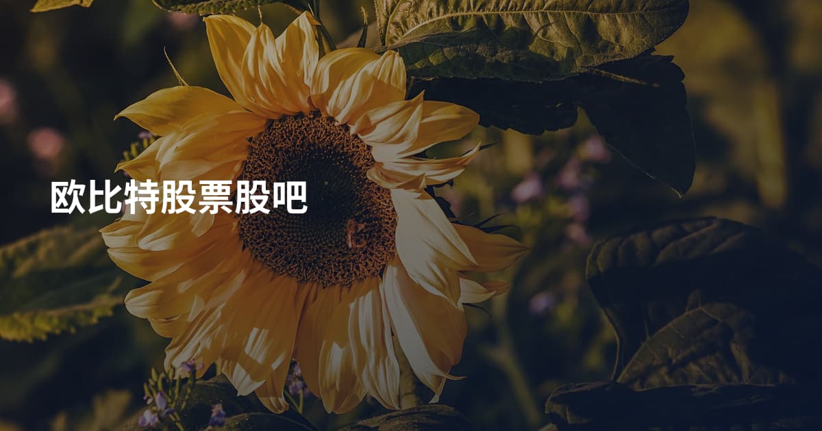欧比特股票股吧