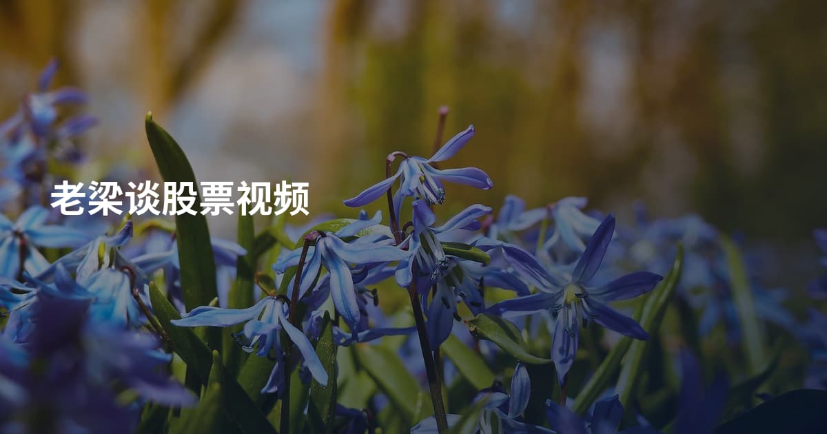老梁谈股票视频
