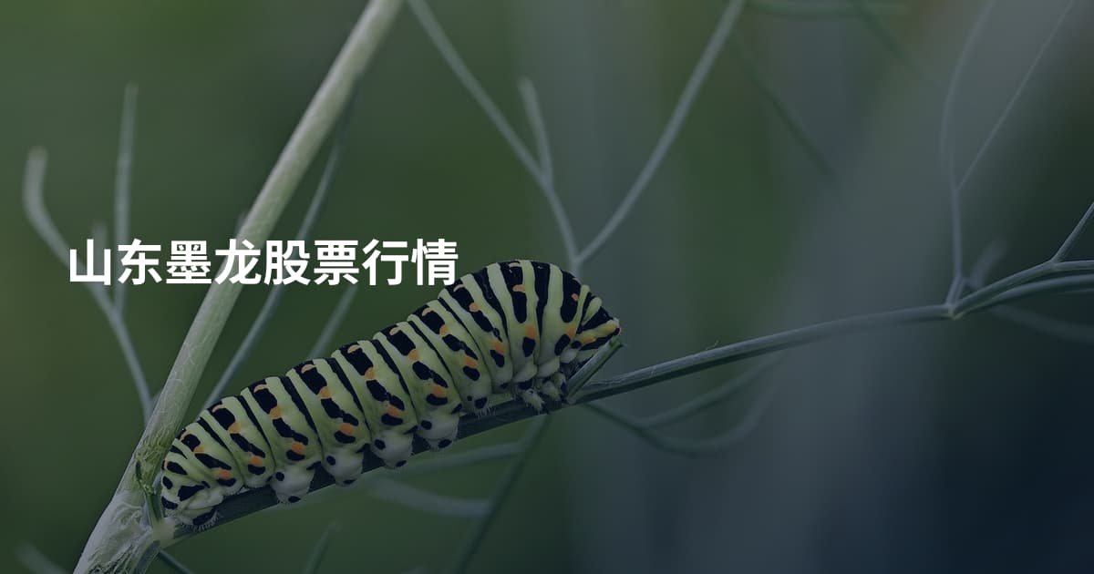 山东墨龙股票行情