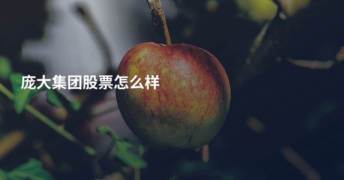 庞大集团股票怎么样