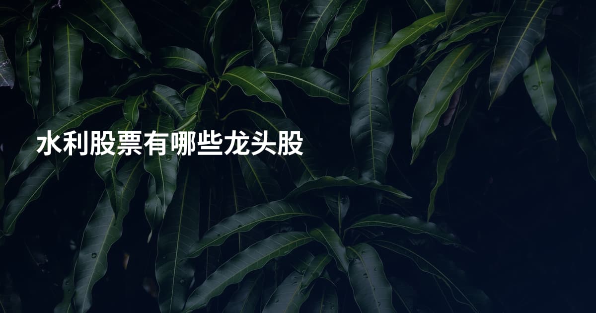 水利股票有哪些龙头股