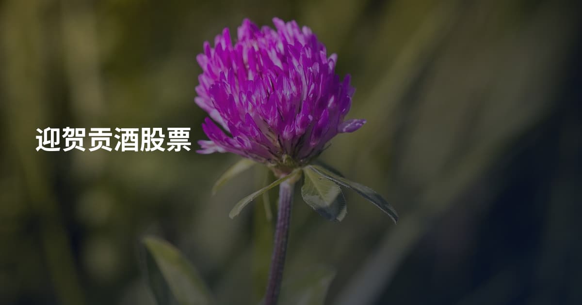 迎贺贡酒股票