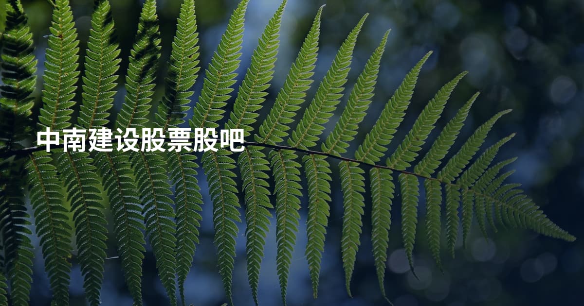 中南建设股票股吧