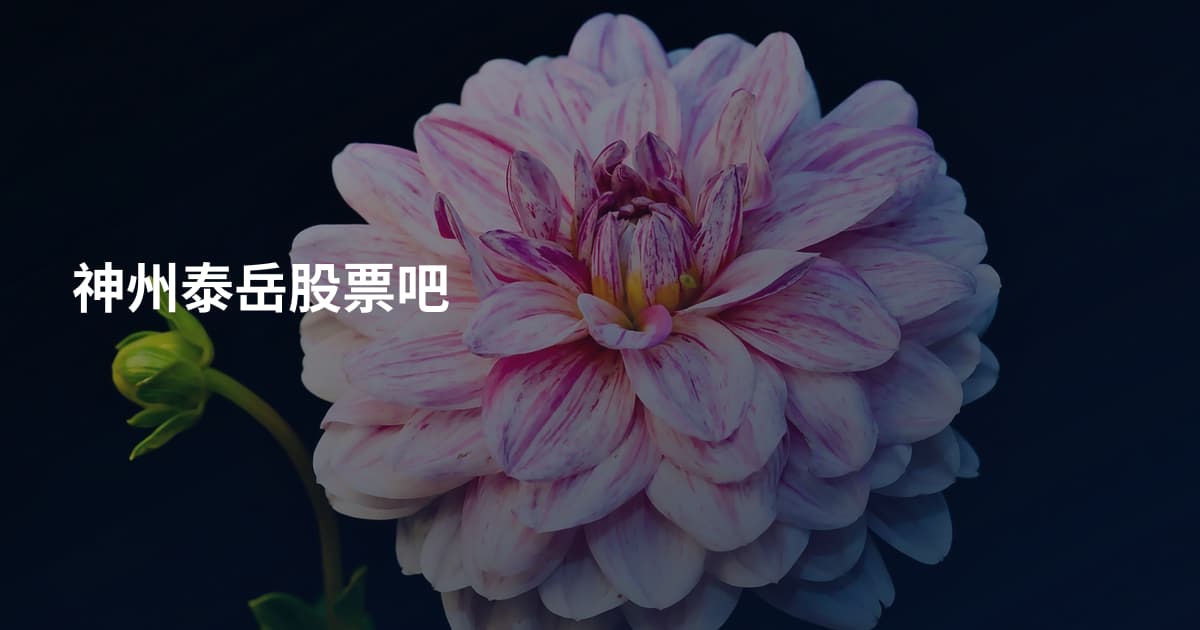 神州泰岳股票吧