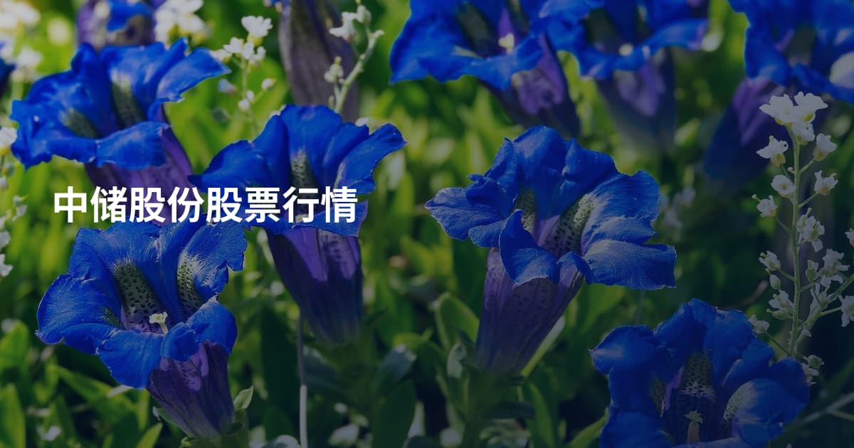 中储股份股票行情