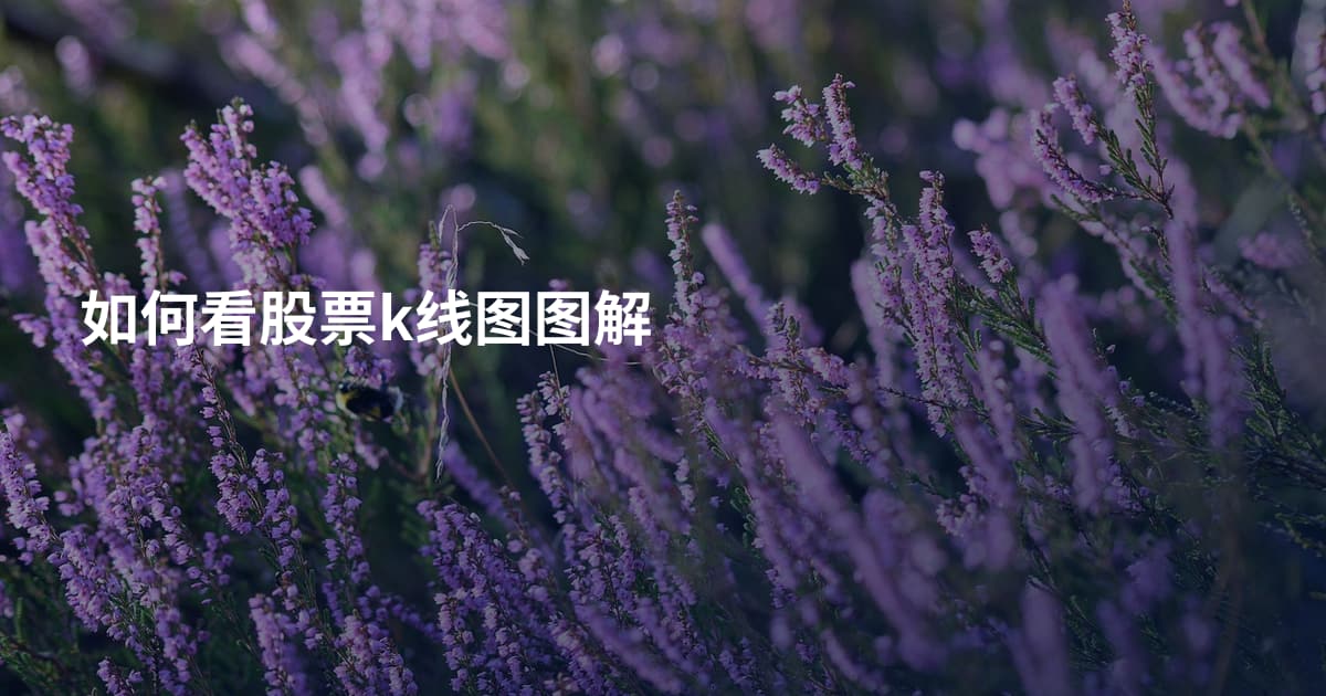 如何看股票k线图图解