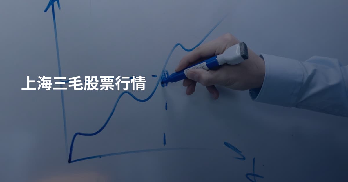 上海三毛股票行情