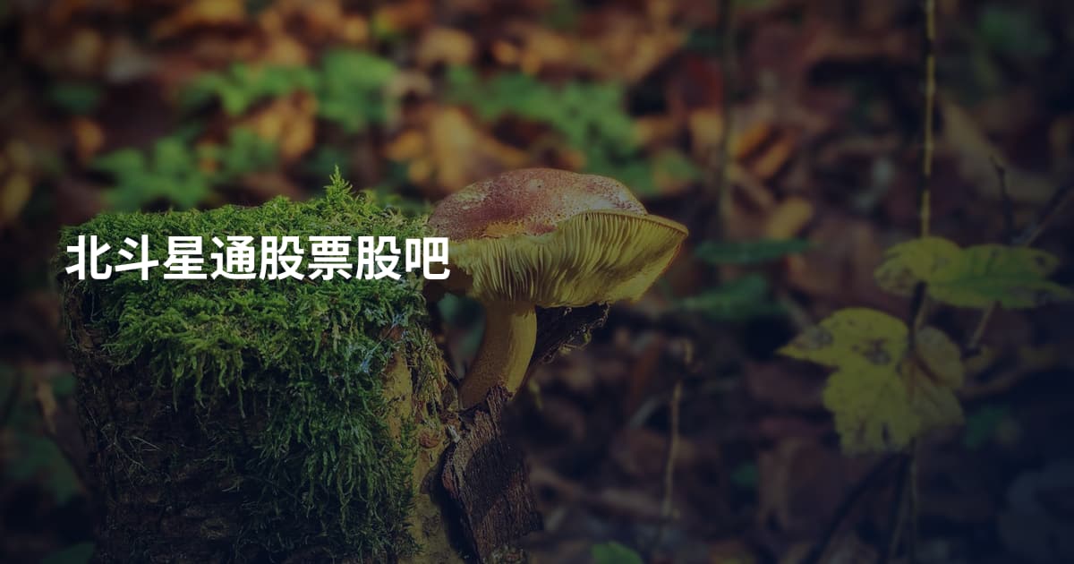 北斗星通股票股吧