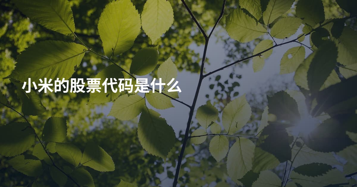 小米的股票代码是什么