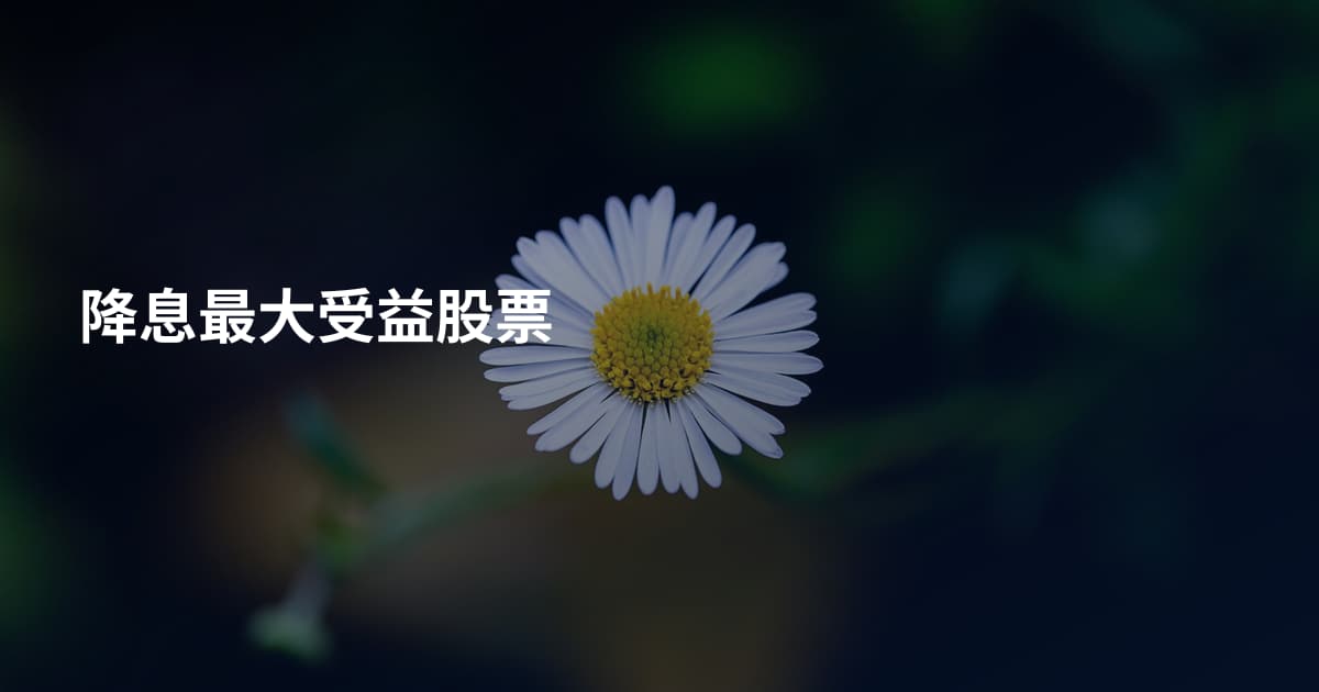降息最大受益股票
