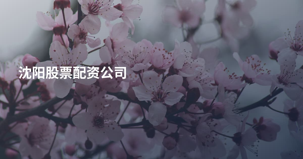 沈阳股票配资公司