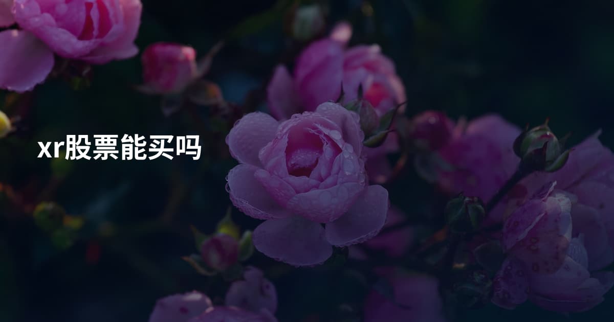 xr股票能买吗