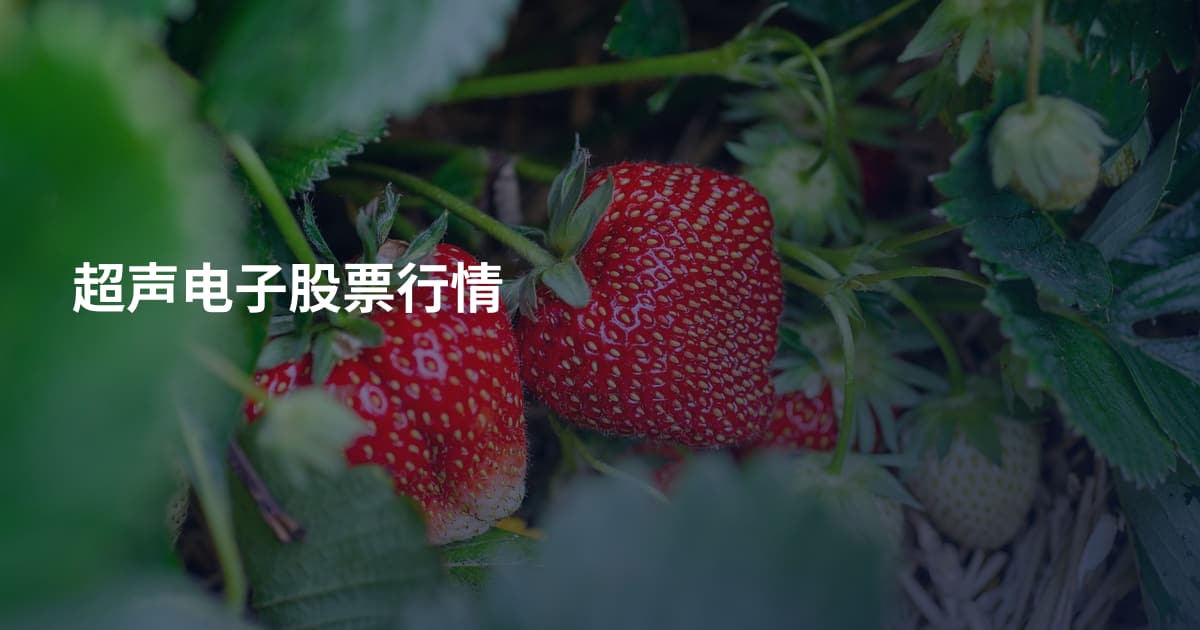 超声电子股票行情