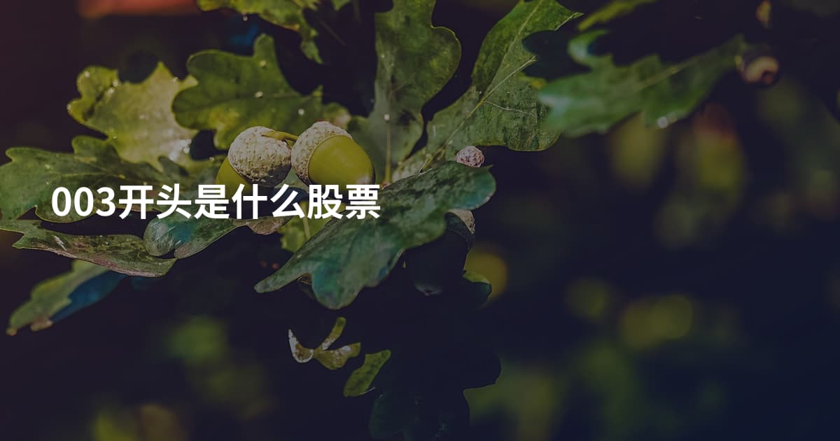 003开头是什么股票