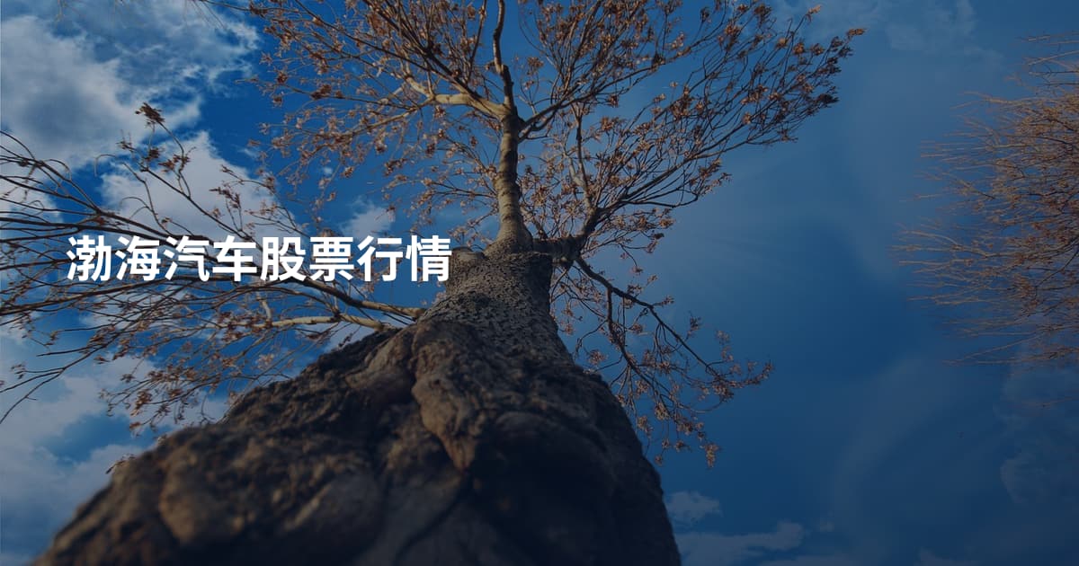 渤海汽车股票行情