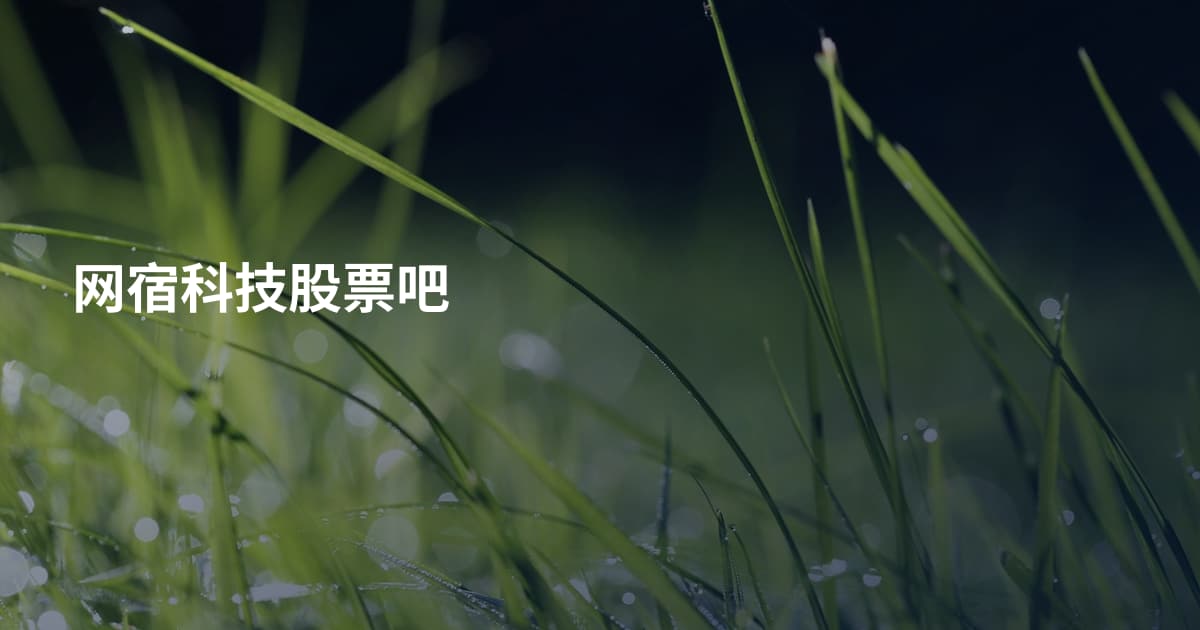网宿科技股票吧