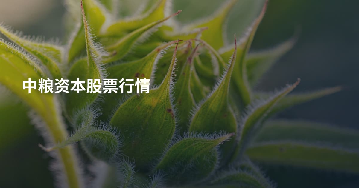 中粮资本股票行情