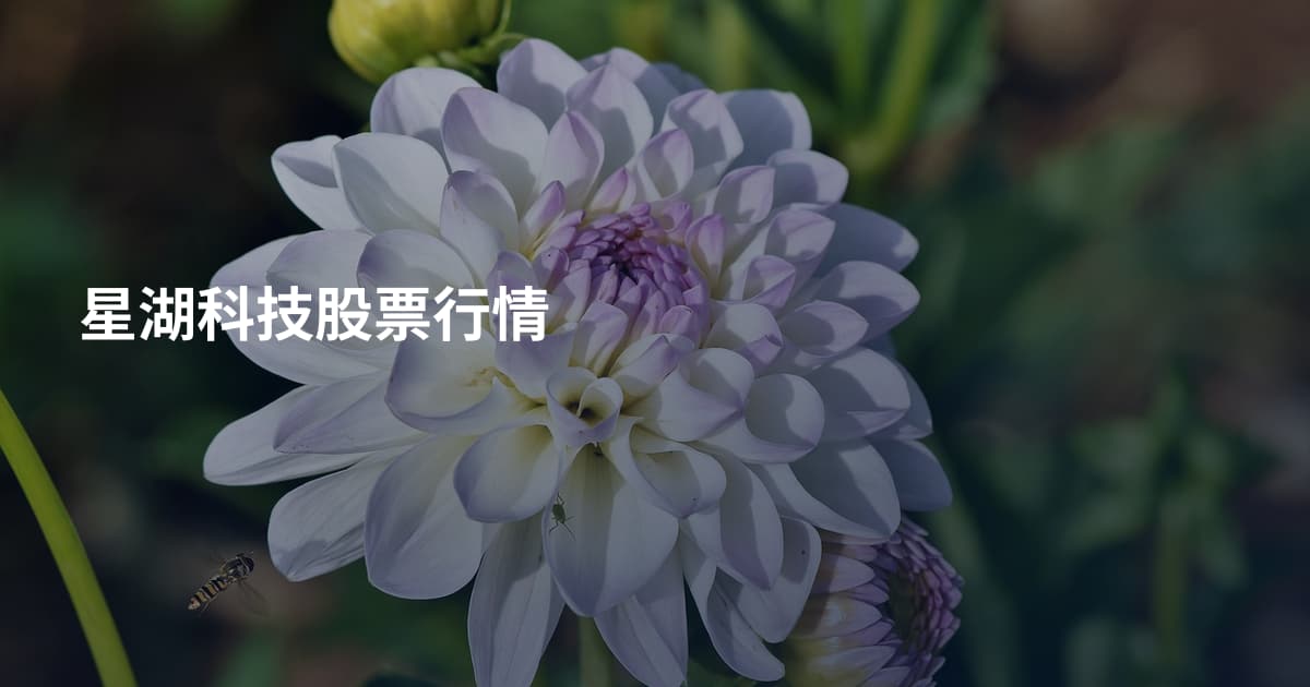 星湖科技股票行情