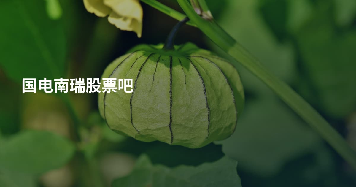 国电南瑞股票吧