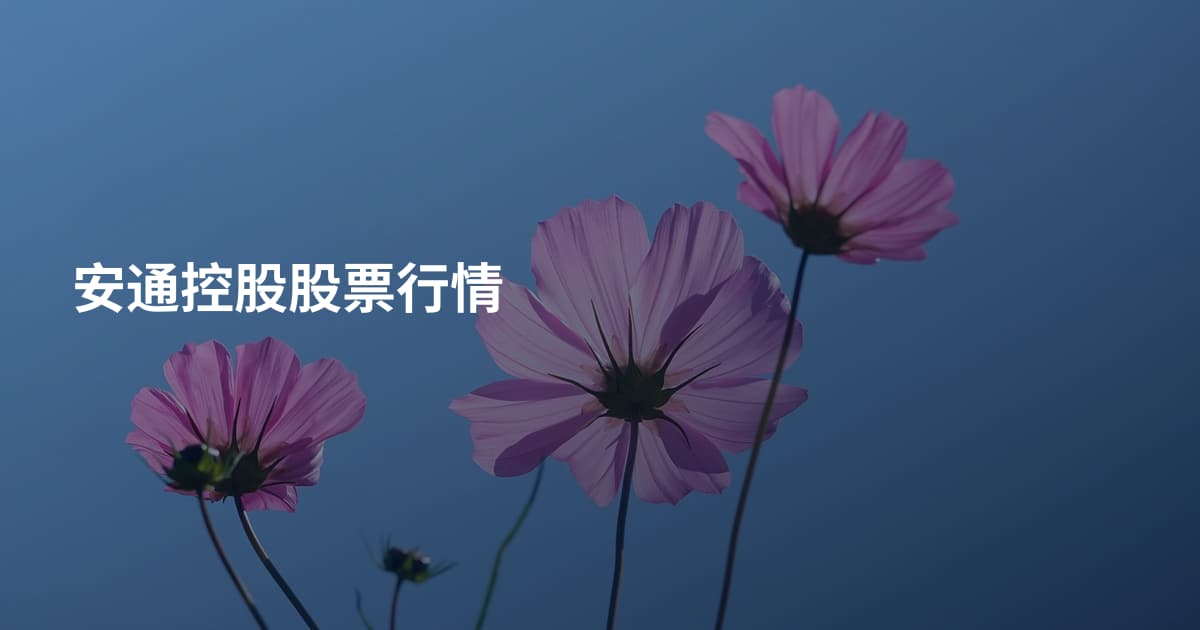 安通控股股票行情