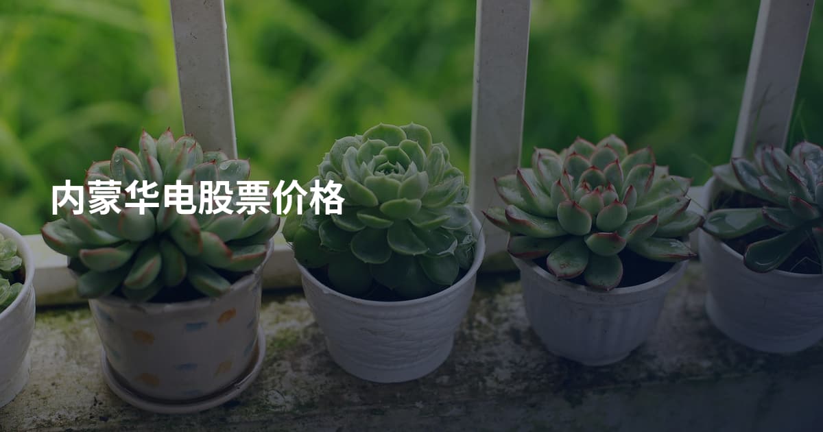 内蒙华电股票价格