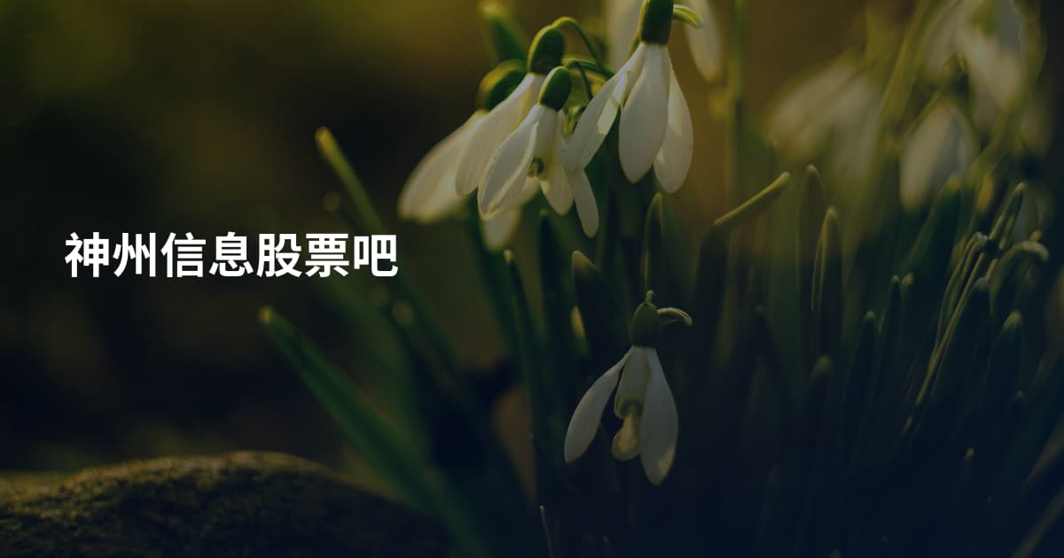 神州信息股票吧