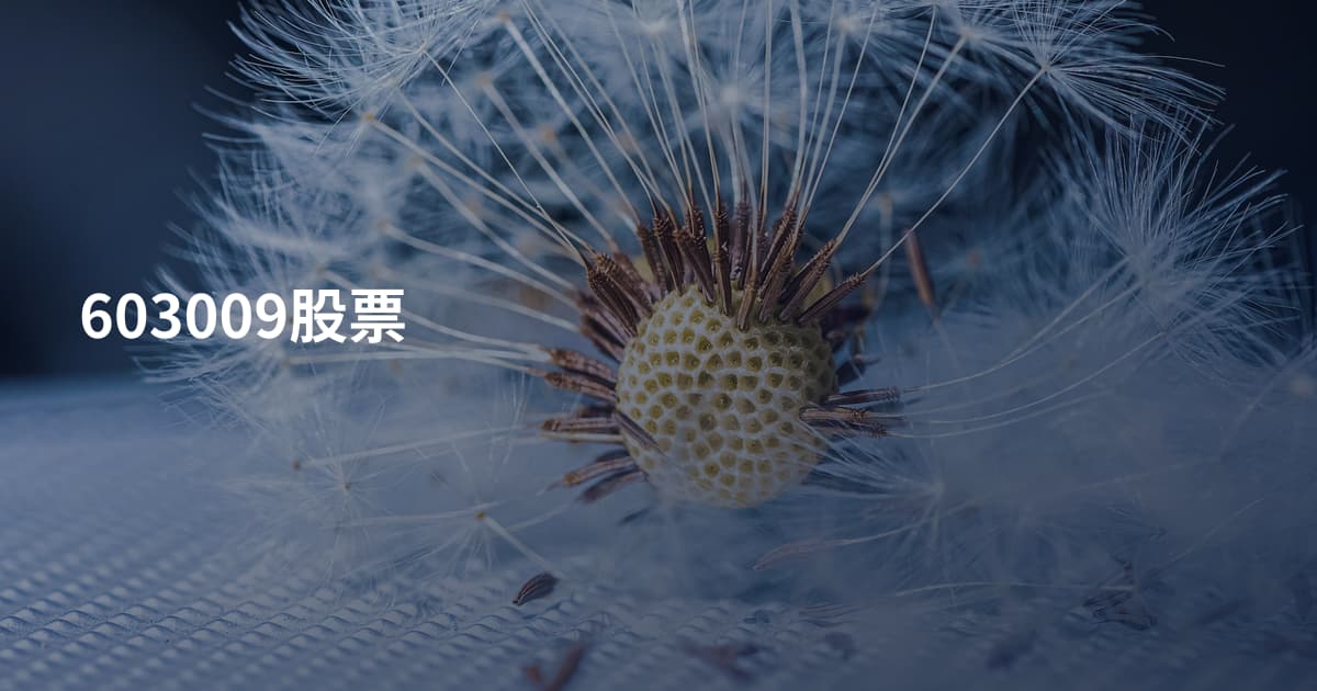 603009股票