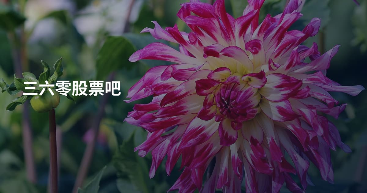 三六零股票吧