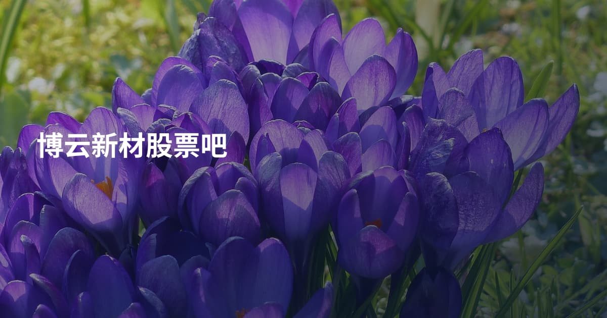 博云新材股票吧