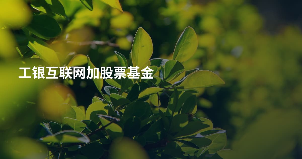 工银互联网加股票基金