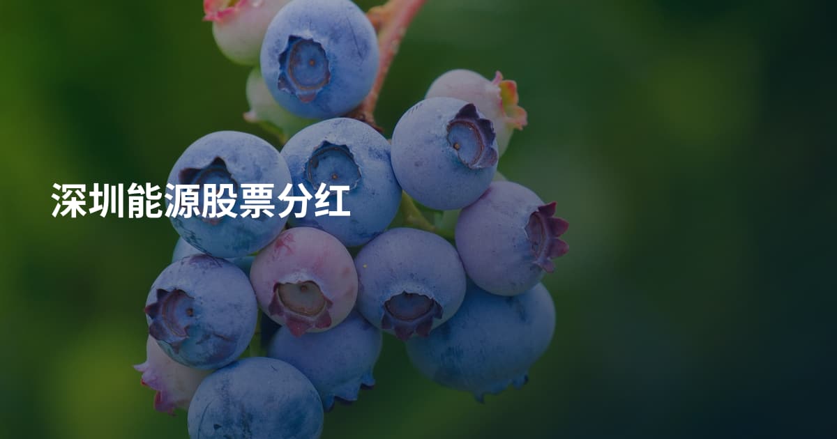 深圳能源股票分红