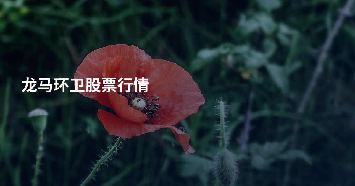 龙马环卫股票行情
