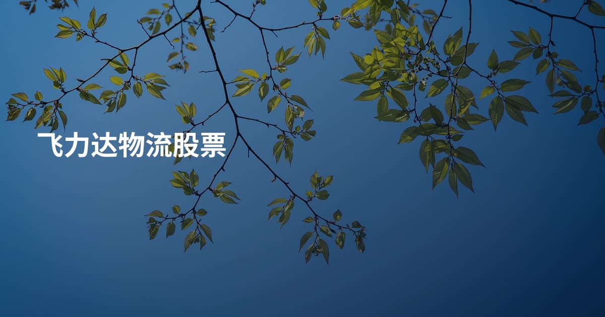 飞力达物流股票