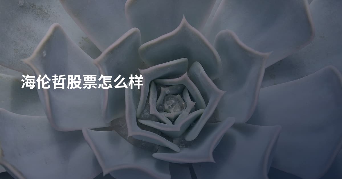 海伦哲股票怎么样