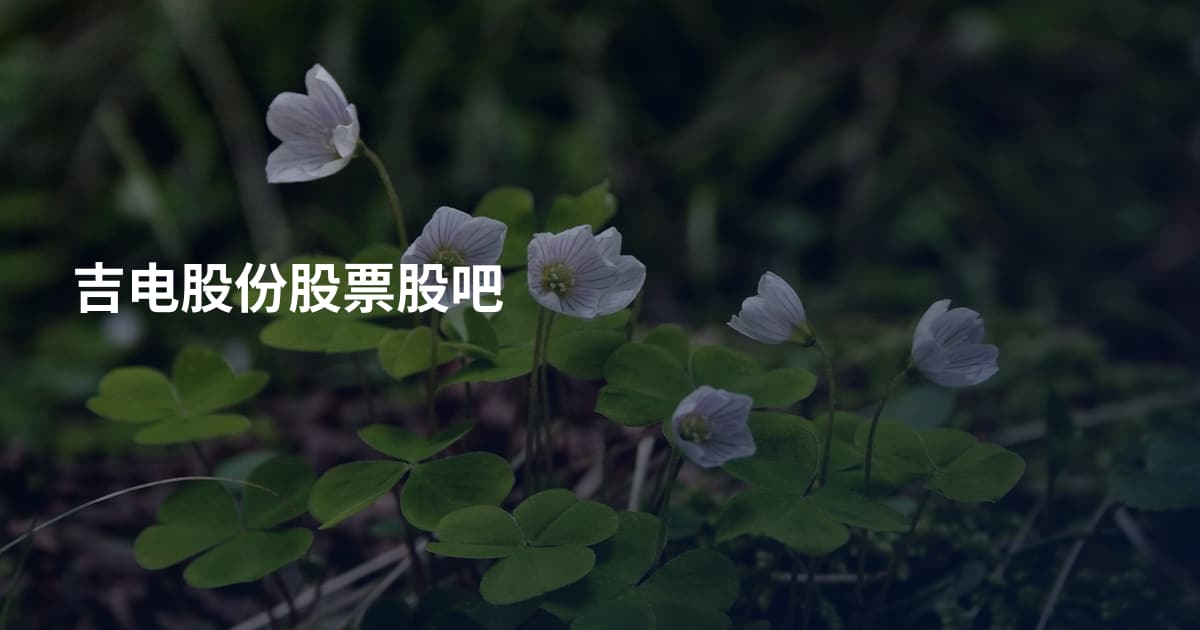 吉电股份股票股吧