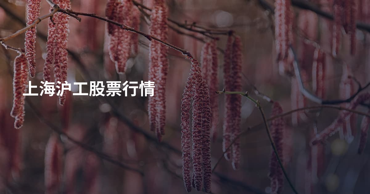 上海沪工股票行情
