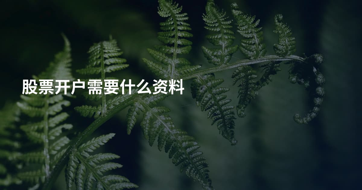 股票开户需要什么资料