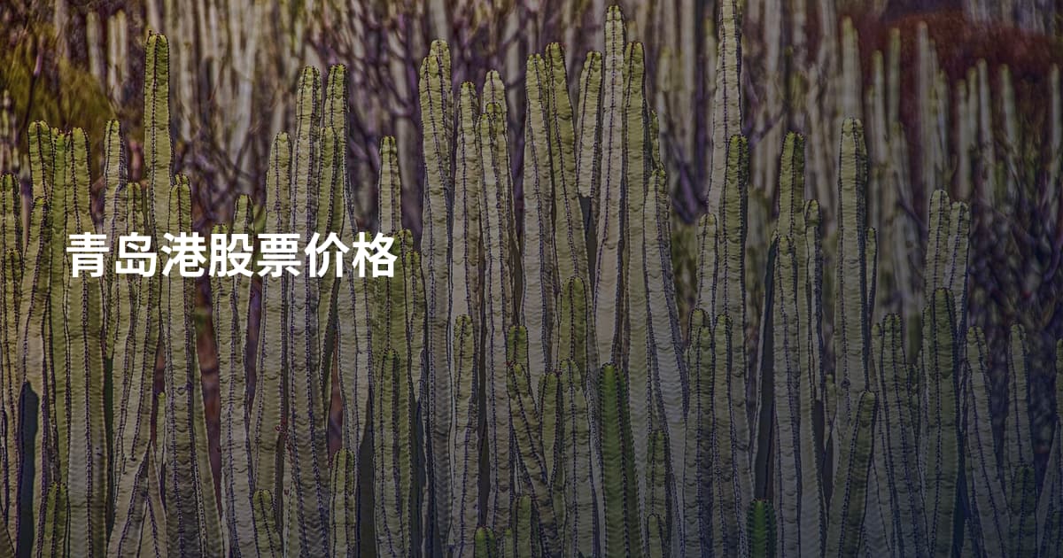 青岛港股票价格