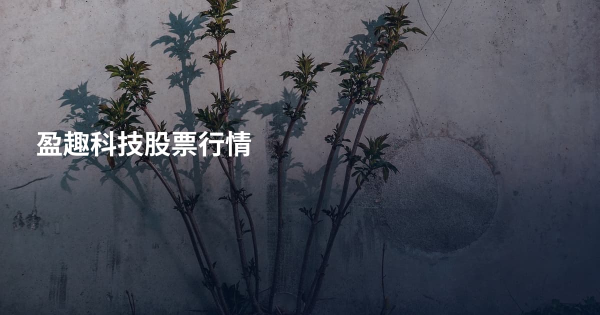 盈趣科技股票行情