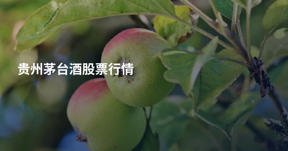 贵州茅台酒股票行情